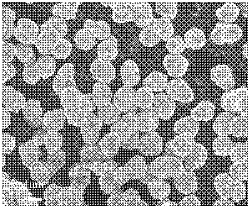 Preparation method of annular self assembled copper sulfide hollow spheres