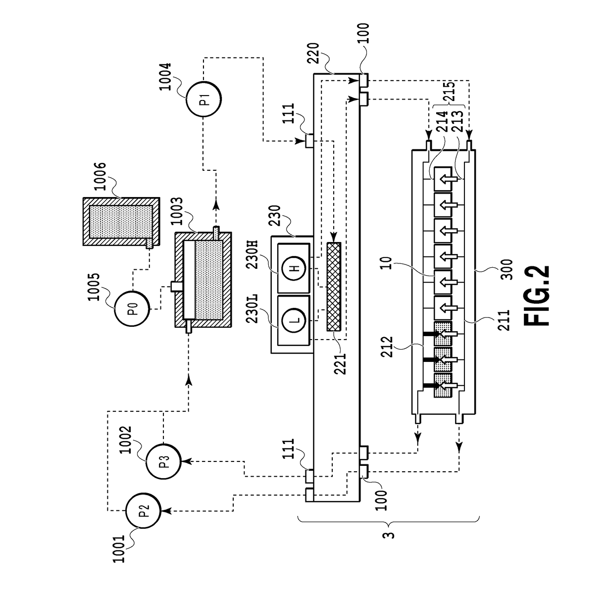 Liquid ejection apparatus and liquid ejection head