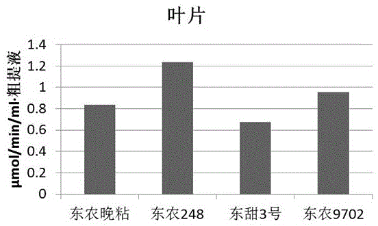 GSTs activity analysis method suitable for plant holoprotein extracting solution