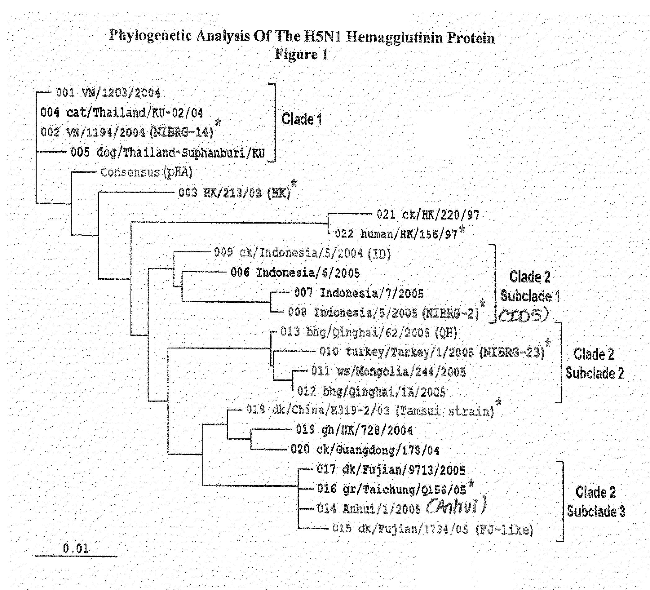 Flu vaccines and methods of use thereof