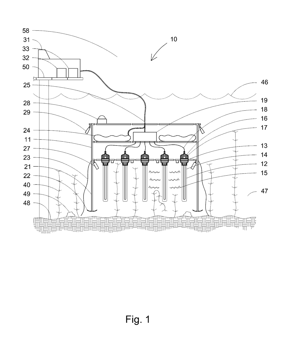 Short-wavelength ultraviolet light array for aquatic invasive weed species control apparatus and method