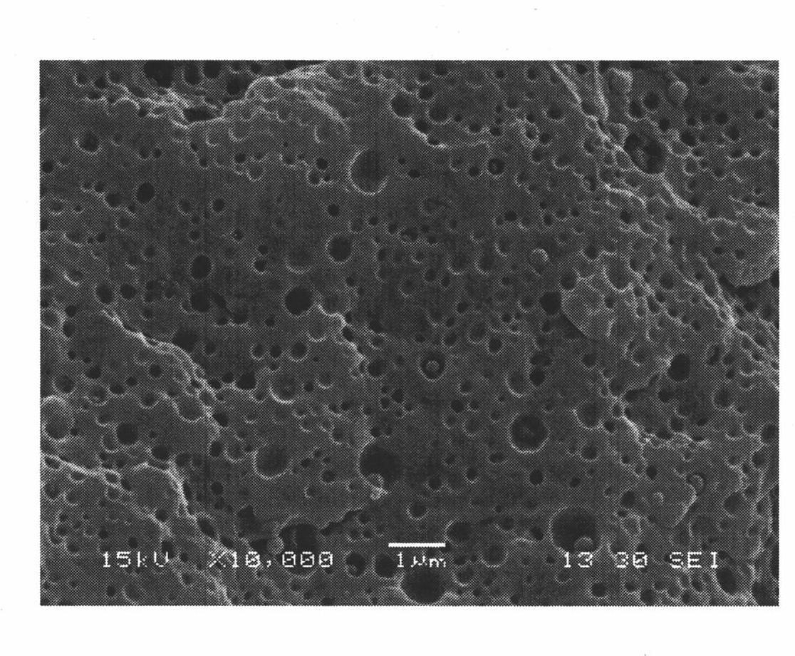 Mixture for preparing nylon nano composite material and preparation method of composite material