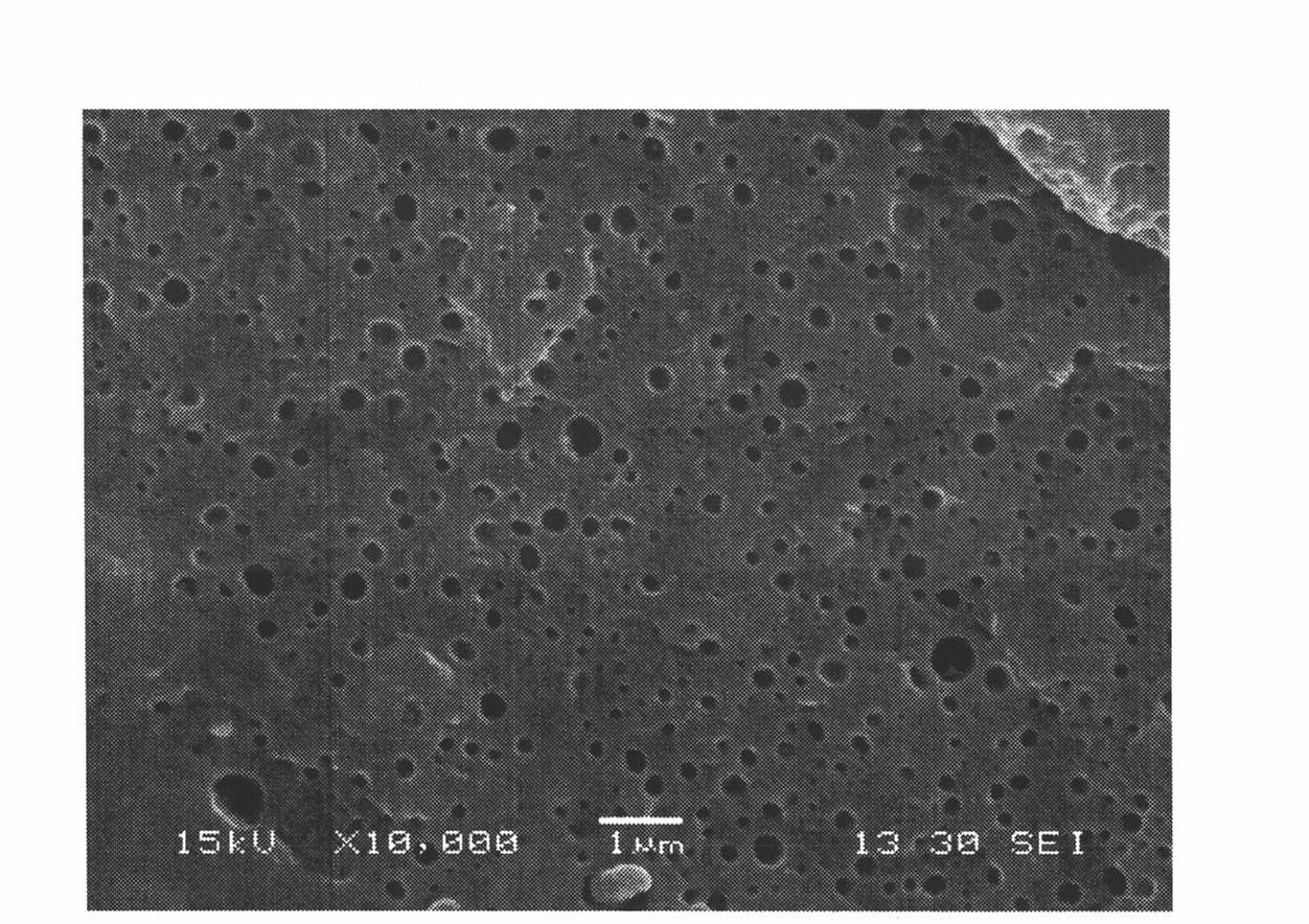 Mixture for preparing nylon nano composite material and preparation method of composite material