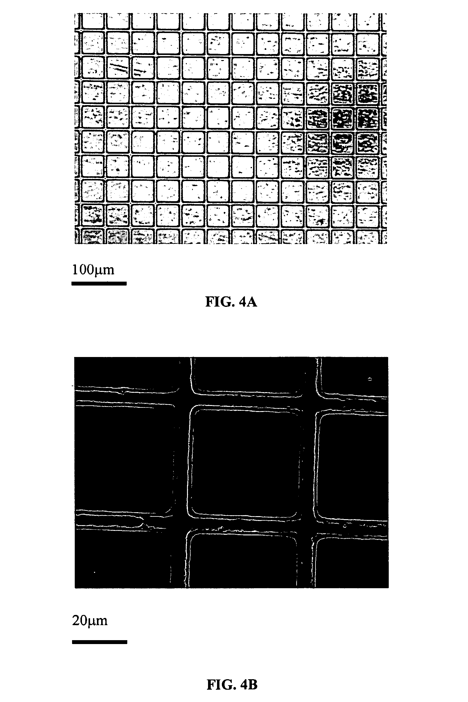 Multi-layer polymer scaffolds