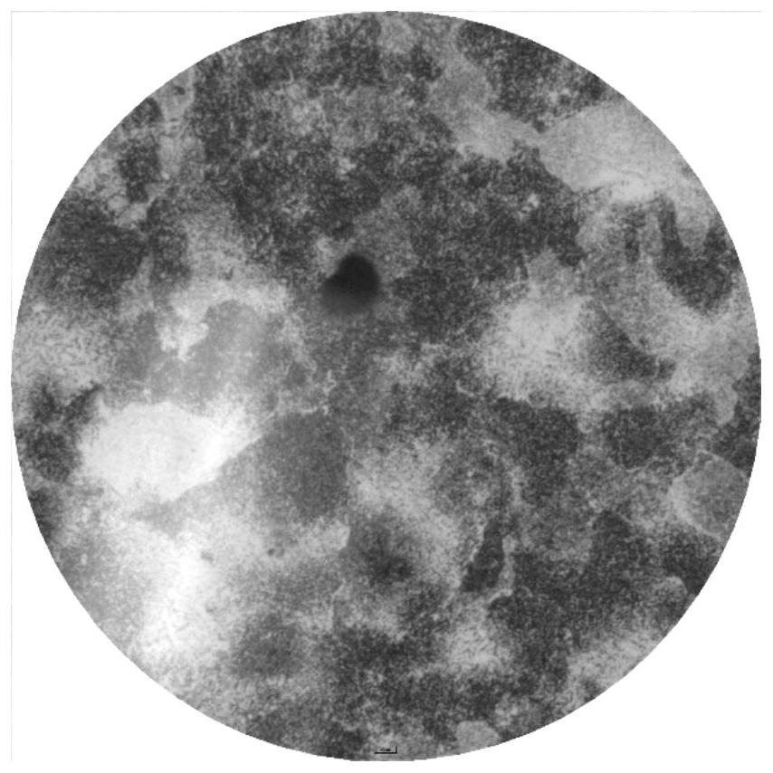 Carbide-containing high-strength high-toughness bainite wear-resistant steel and preparation method thereof