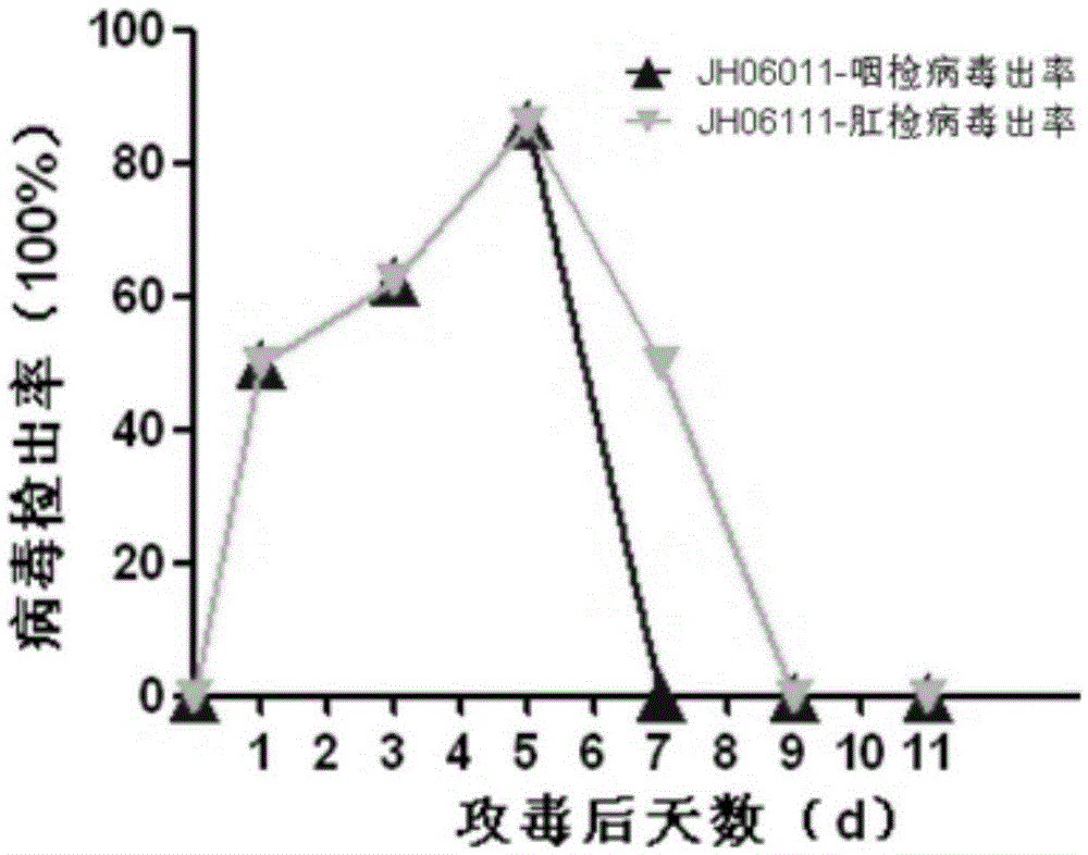 Avian infectious bronchitis virus natural mutant