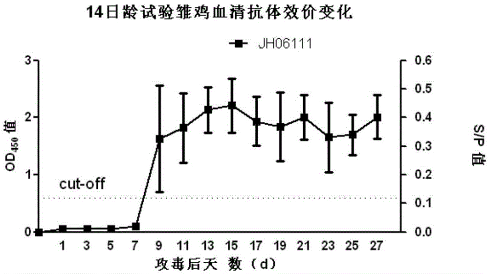 Avian infectious bronchitis virus natural mutant