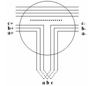 A ring feeder structure odn network system with expansion adaptability and line protection function