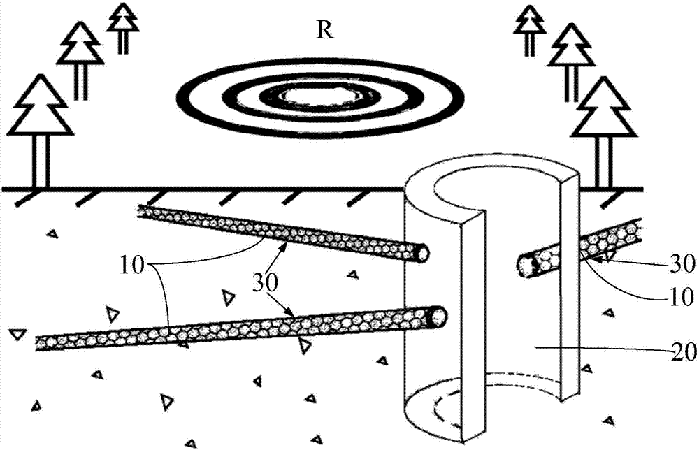 Transverse pollutant-removing biological pipe applied to remediation of polluted underground water