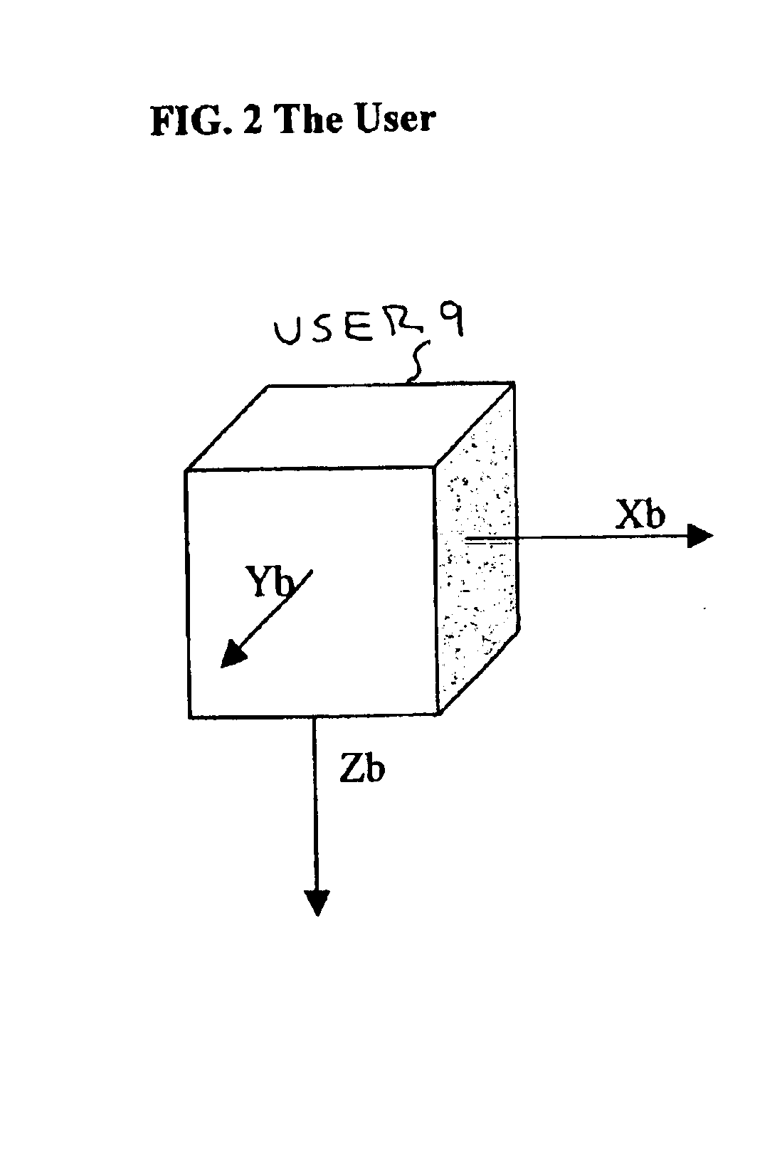 Seamless sensory system