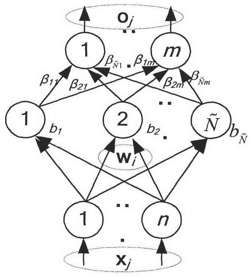 Rapid neural network leaning method