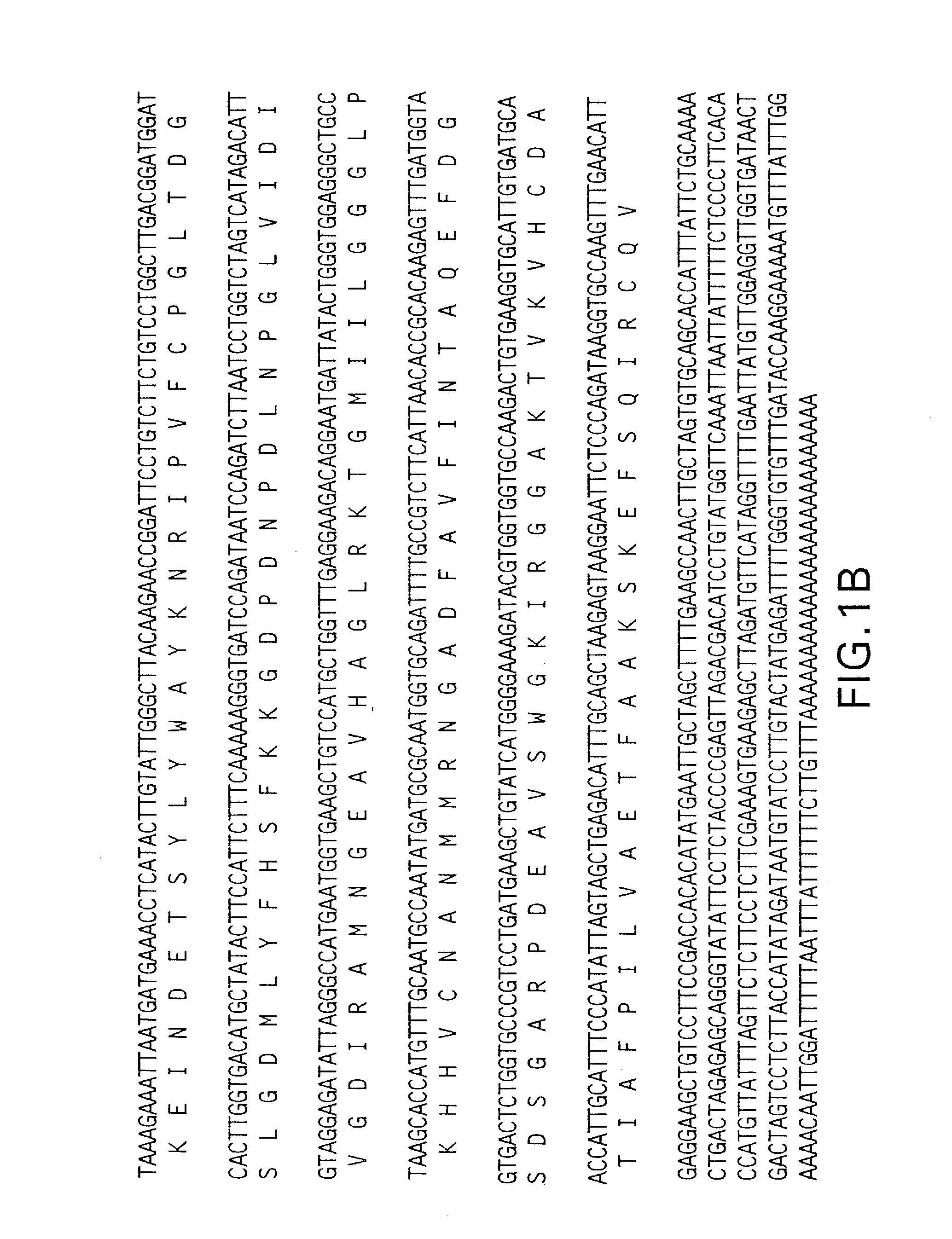 DNA encoding a plant deoxyhypusine synthase, a plant eukaryotic initiation factor 5A, transgenic plants and a method for controlling senescence programmed and cell death in plants