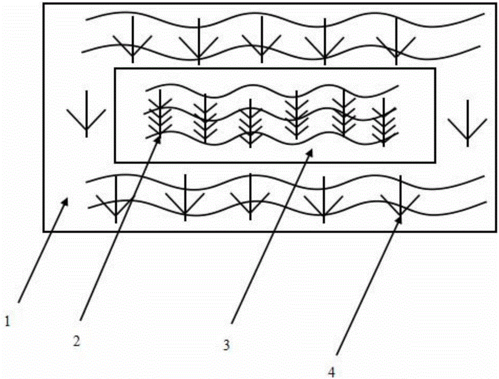 Method for regulating and controlling water plants of crab culture pond