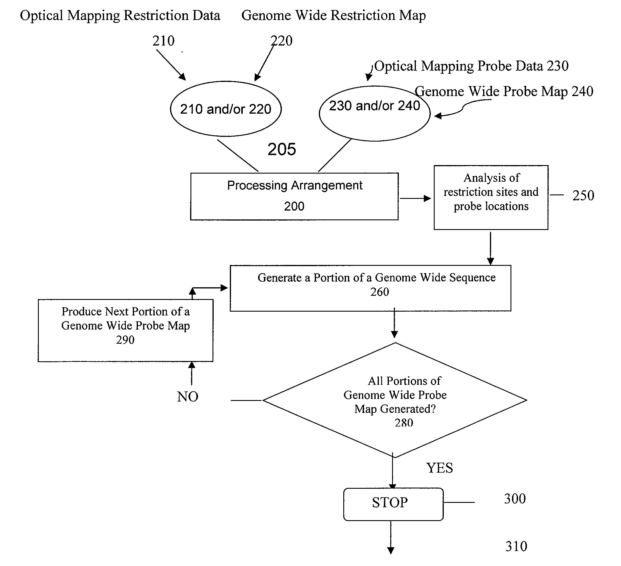 Methods, computer-accessible medium, and systems for generating a genome wide haplotype sequence