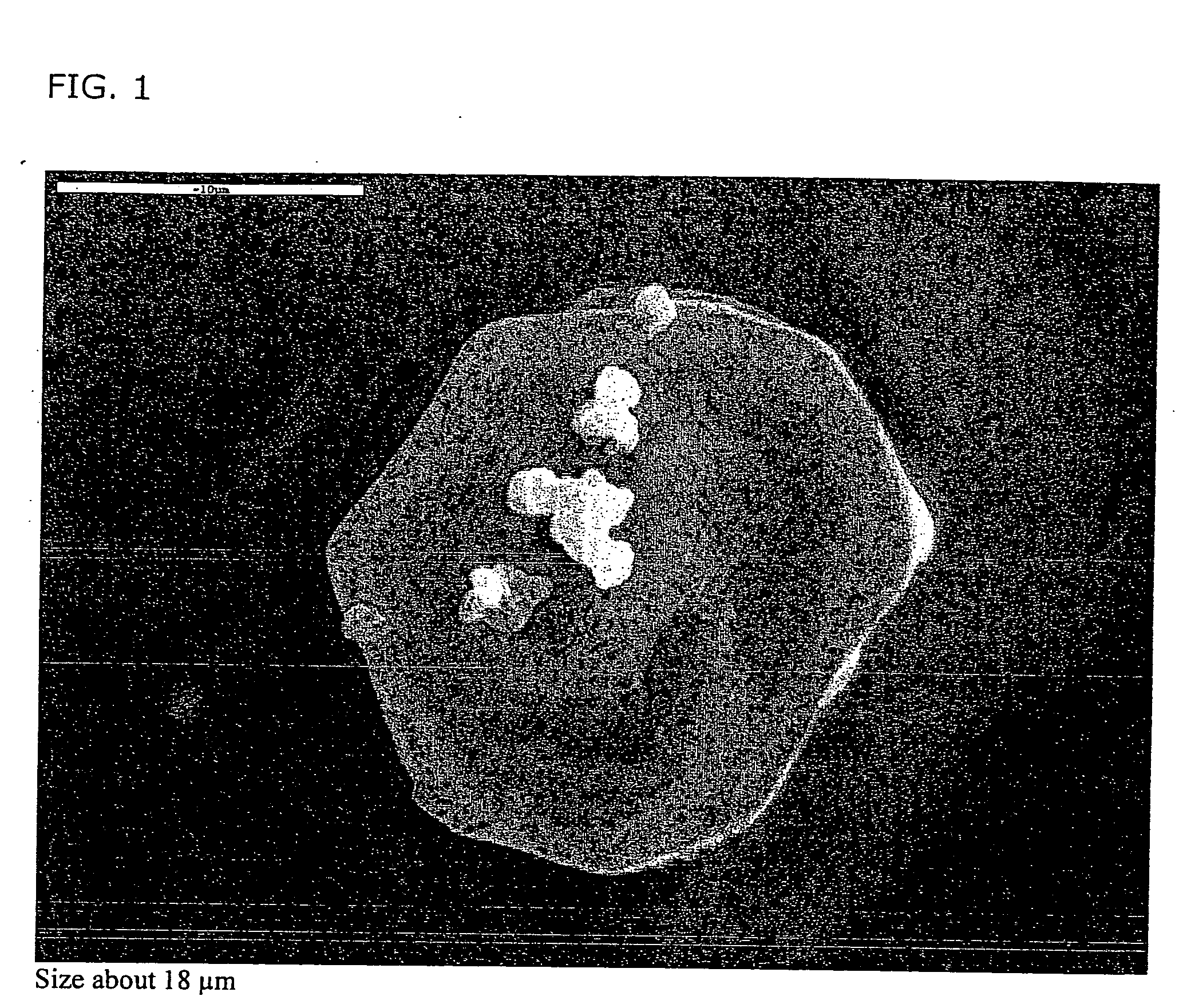 Pharmaceutical porous particles