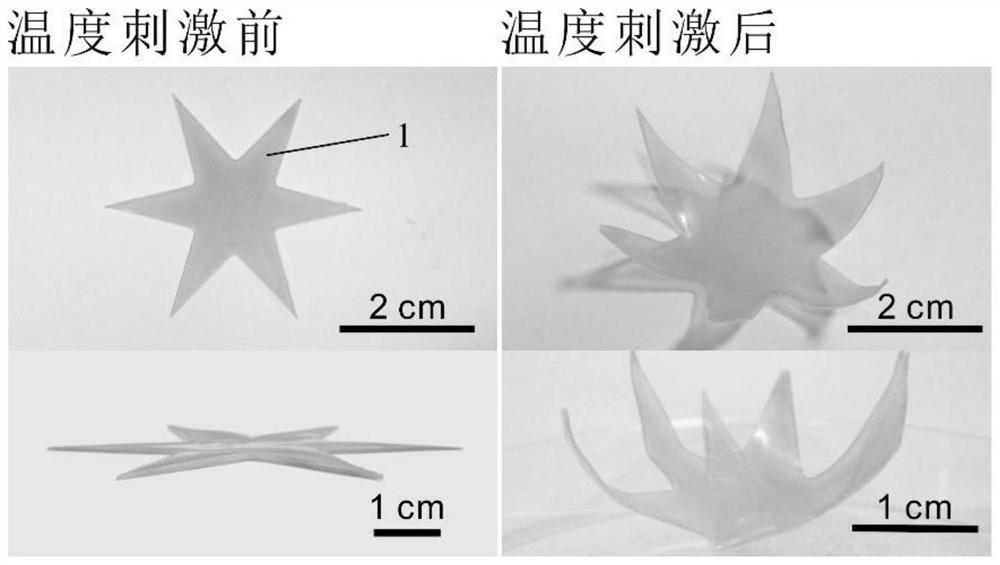 Deformable intelligent hydrogel robot and preparation method thereof