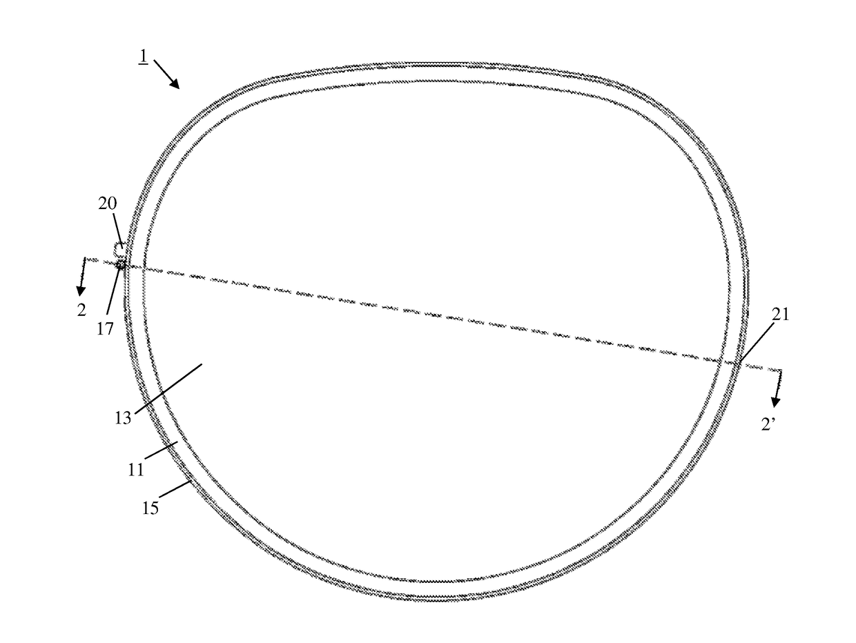 Adjustable focus spectacles with non-circular lenses