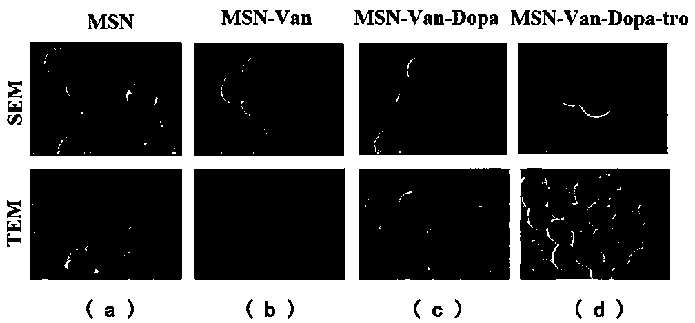 Preparation method of nanometer mesoporous silica styptic powder with antibacterial and hemostatic functions