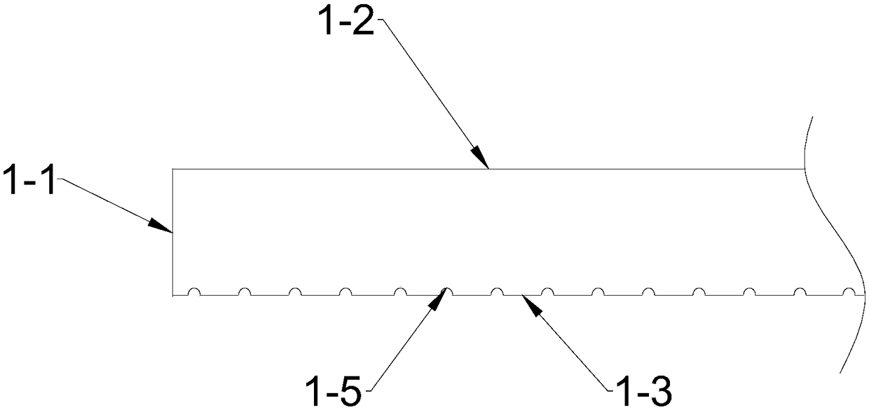 Micro-structure light guide plate and display module thereof