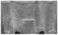 Magnesium alloy casting method and device thereof