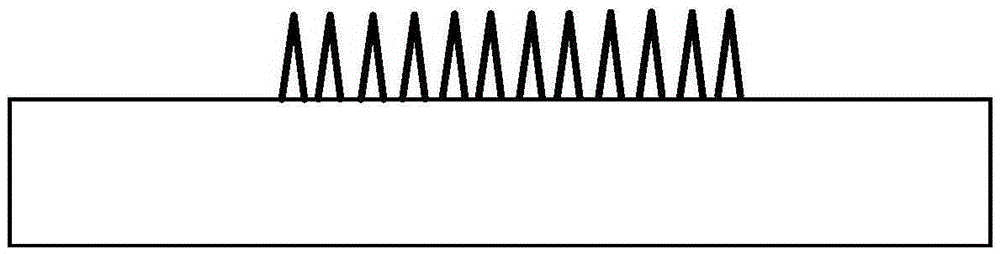 Embedded nanometer forest structure and preadaptation method thereof