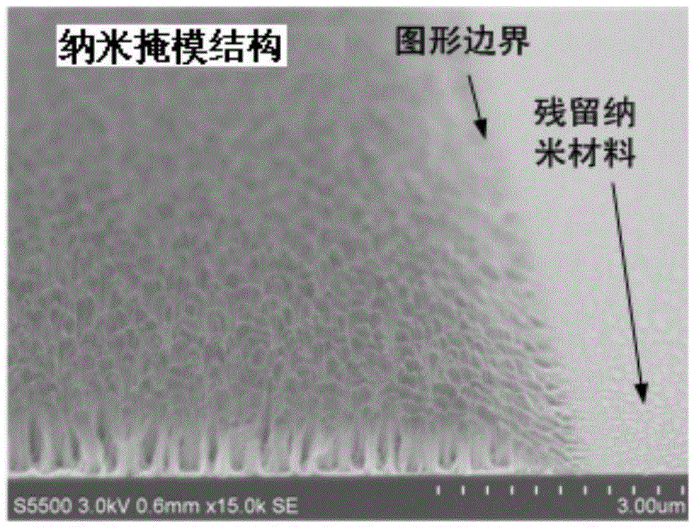 Embedded nanometer forest structure and preadaptation method thereof