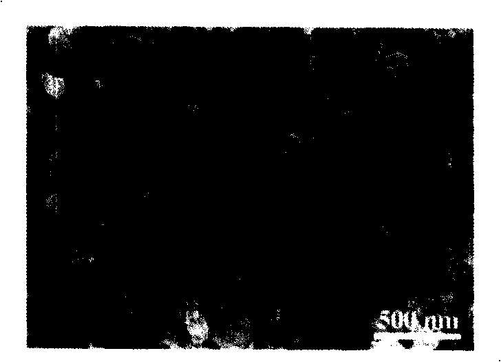 Positive electrode material of lithium ion cell and its preparation method