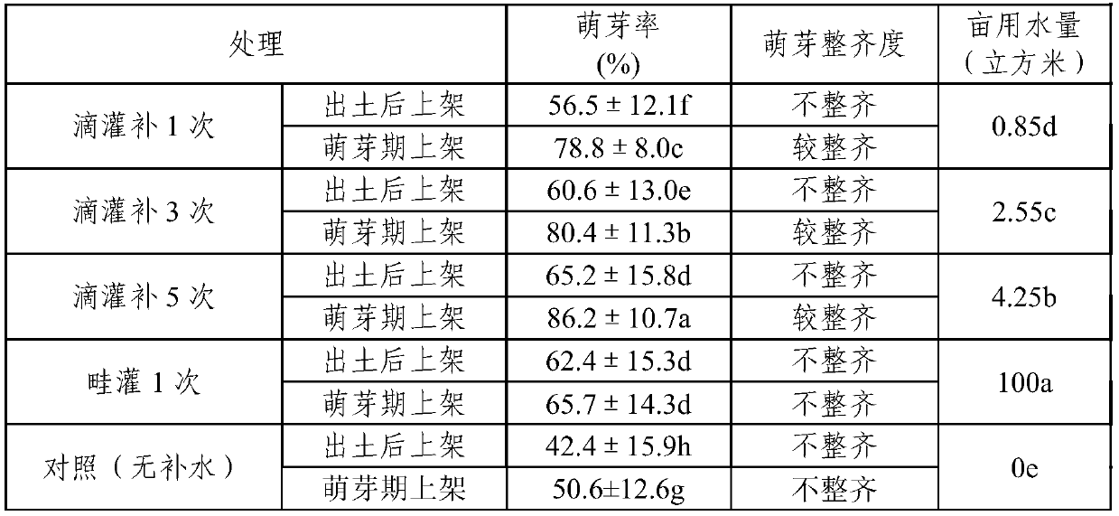 Method of guaranteeing germination uniformity of overlong main stems of grape in northern buried culture area