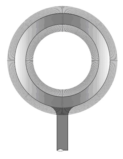 Quantitative biological sampling flocking swab