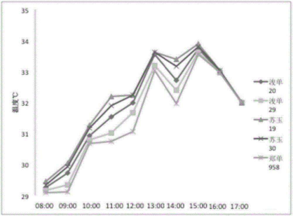 Method for screening plant variety with leaf strengthening function