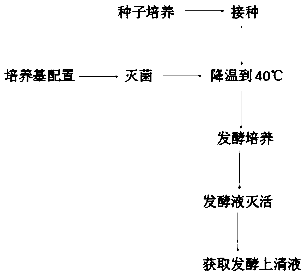 Preparation method of bifida ferment filtrate composition