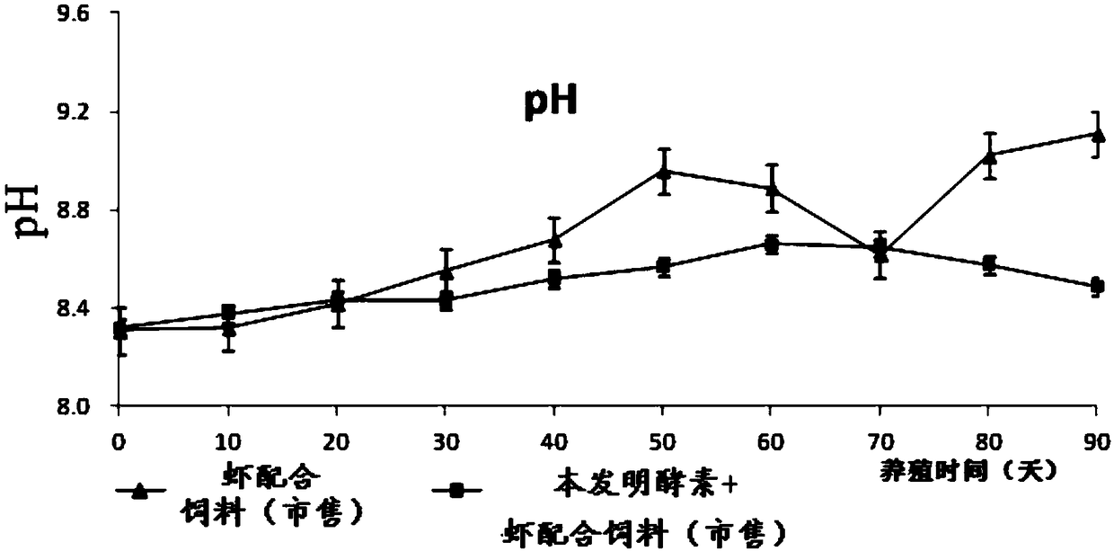 Shrimp ferment, and preparation method and application thereof