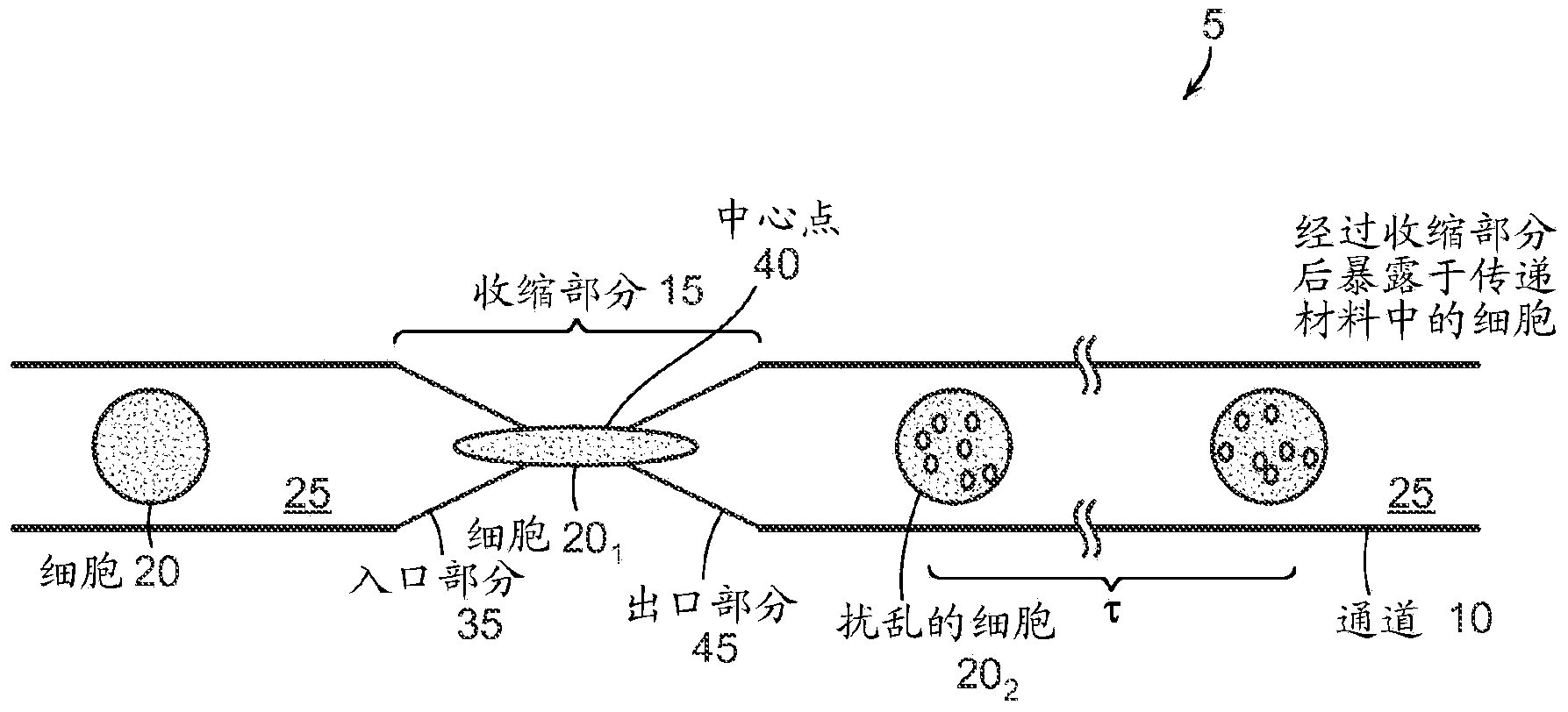 Intracellular delivery