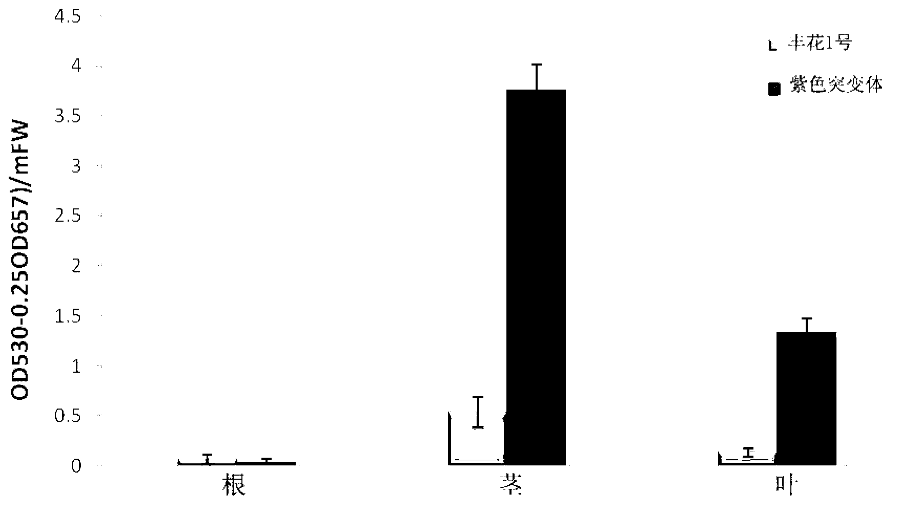 Peanut SPL (squamosa promoter-binding protein-like) transcription factor gene, as well as encoded protein and application thereof