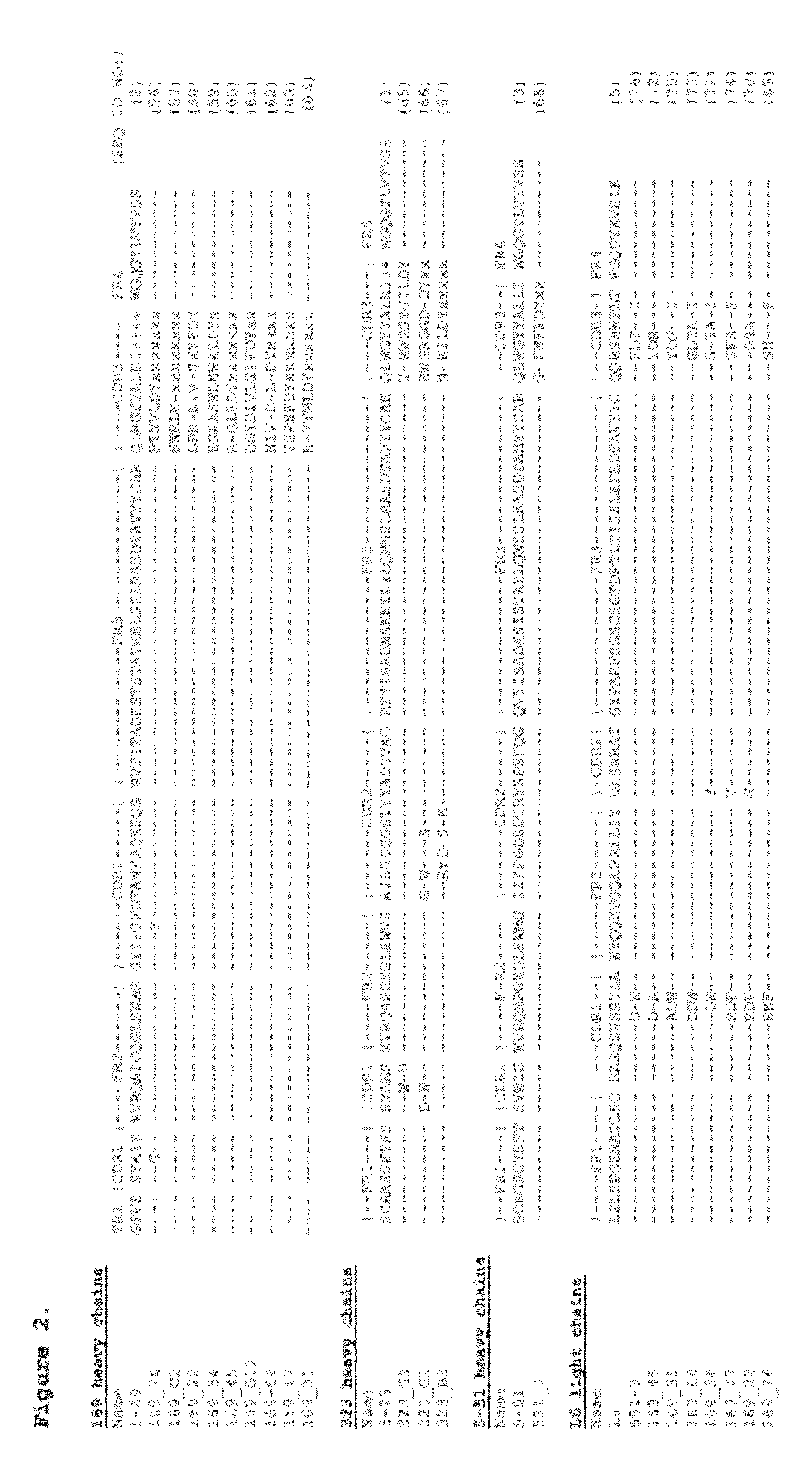 Antibodies binding human collagen II