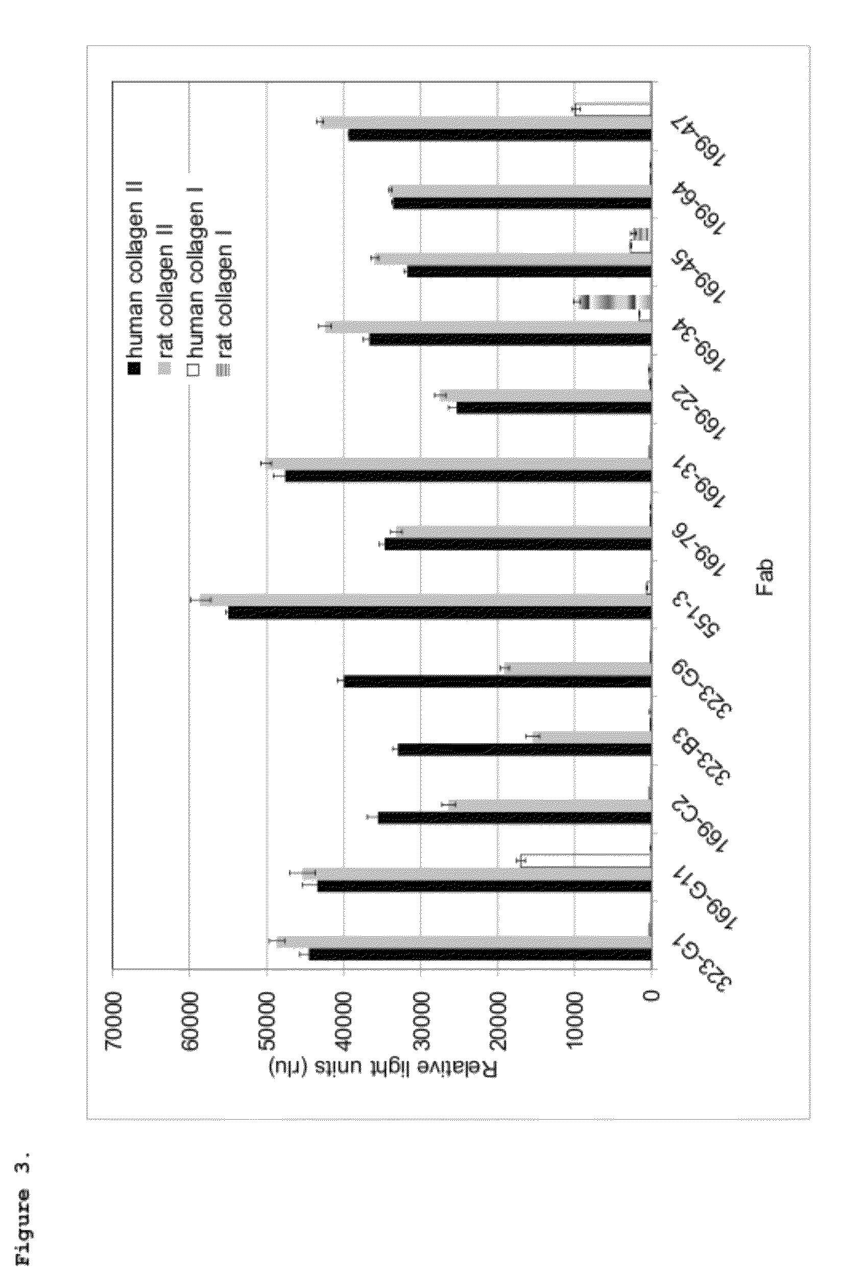 Antibodies binding human collagen II