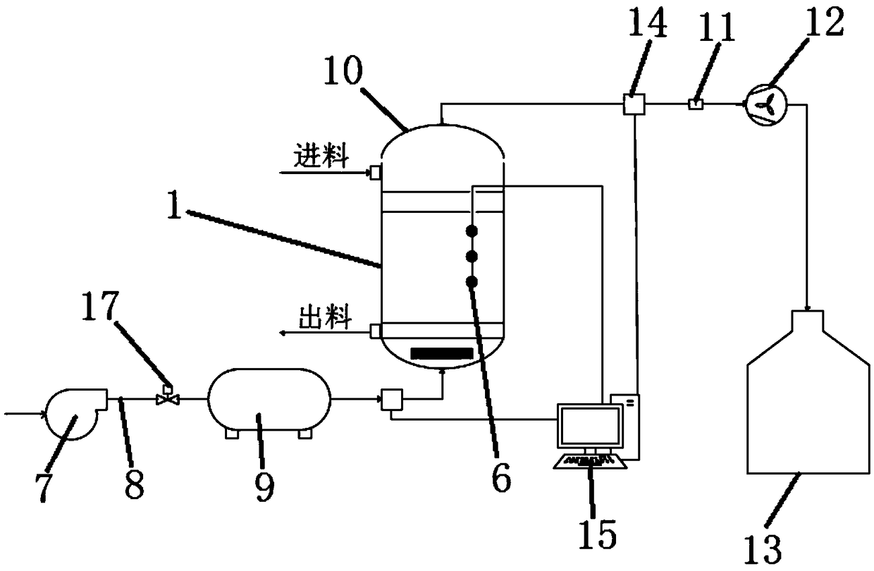 Heterotopic flameless burning treatment apparatus and method for oily sludge