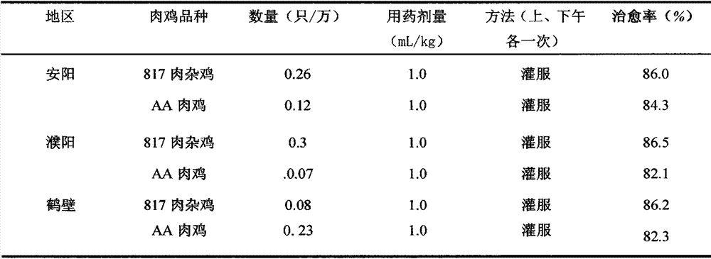 Traditional Chinese medicine for prevention and treatment of broiler chicken colibacillosis