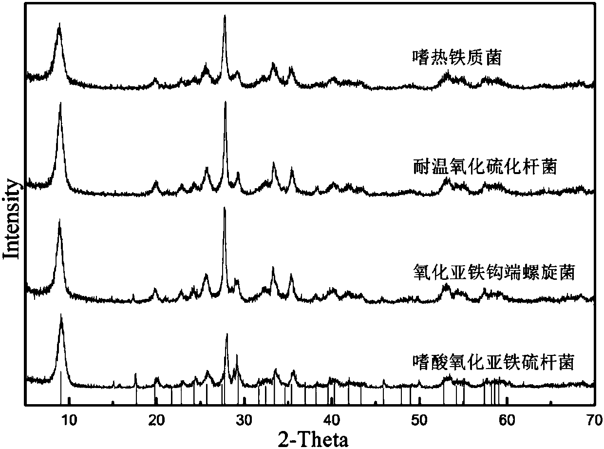 Method for treating wastewater containing trivalent arsenic by utilizing microorganisms