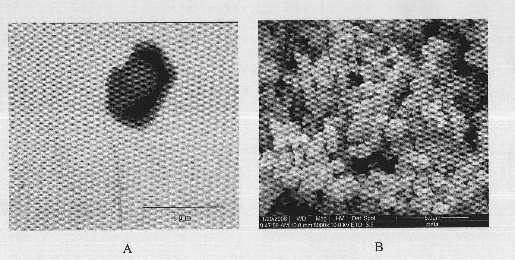 Method for leaching metal from metallic ores and special strain in same