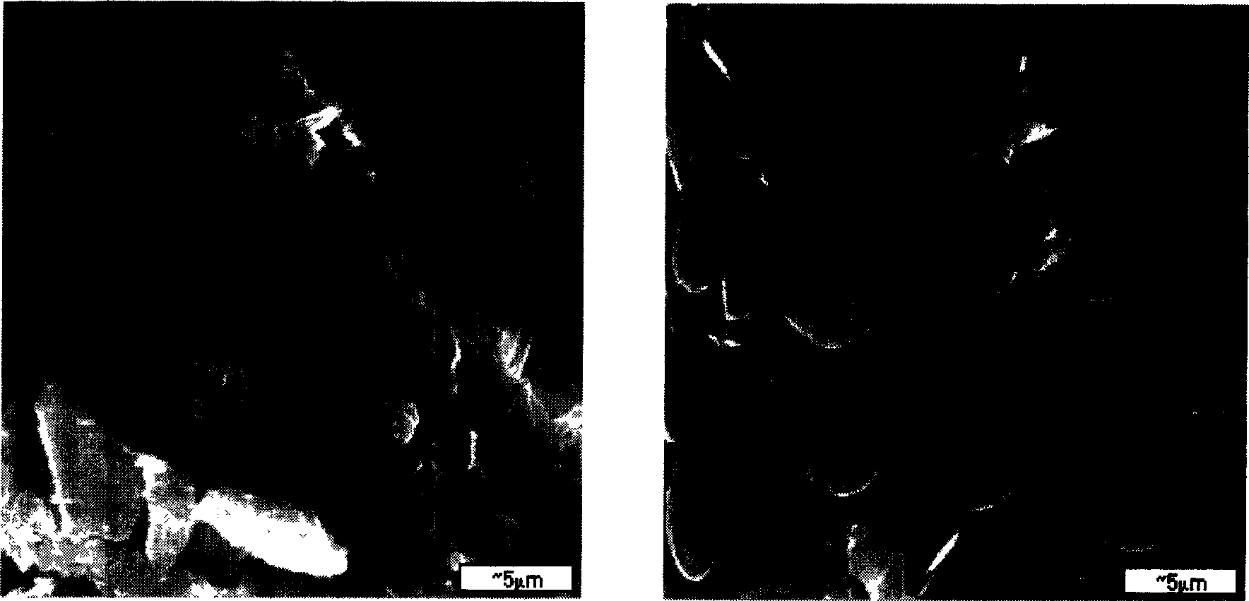 Barium containing sulpho- ferro- aluminate cement