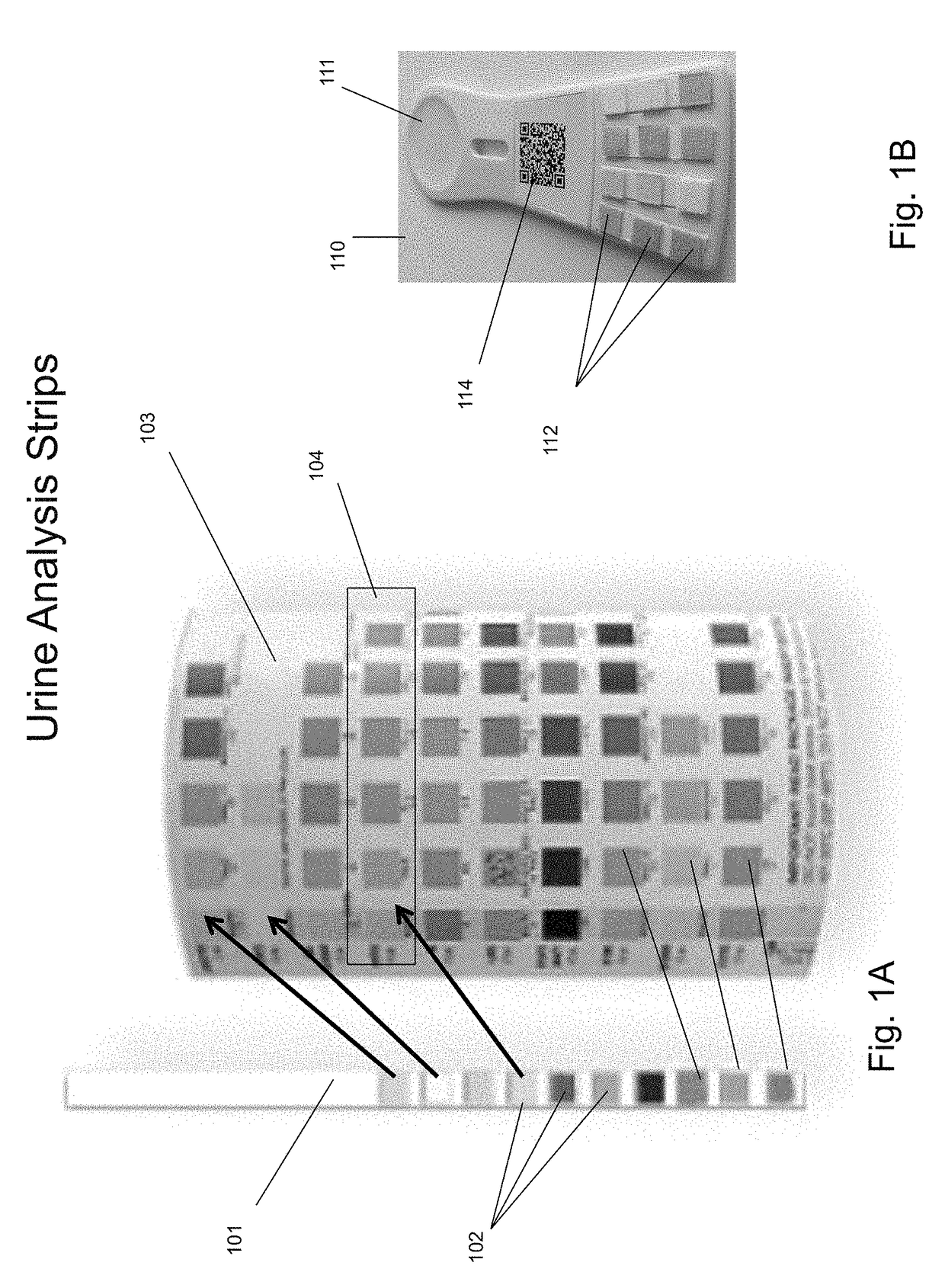 Precision luxmeter methods for digital cameras to quantify colors in uncontrolled lighting environments