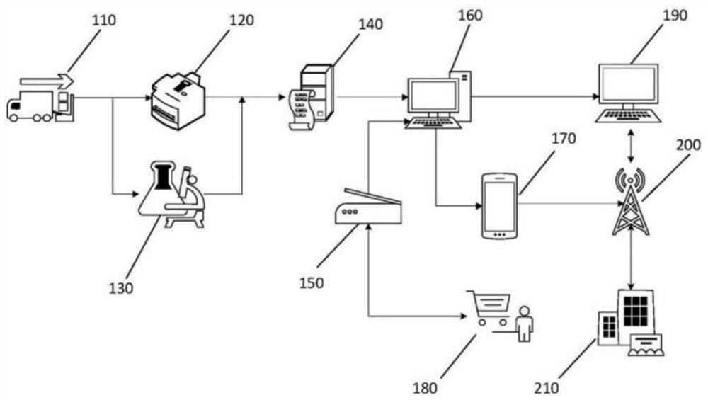 A rapid non-destructive detection system and method for matsutake based on convolutional neural network