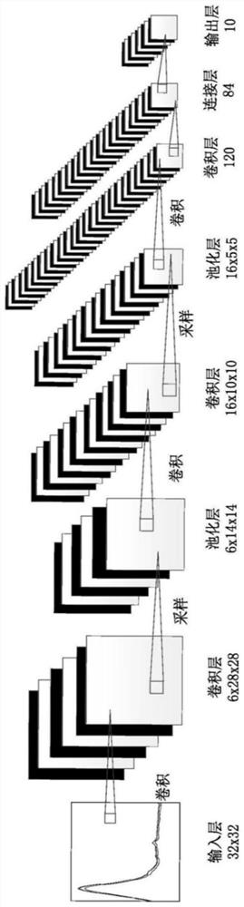 A rapid non-destructive detection system and method for matsutake based on convolutional neural network