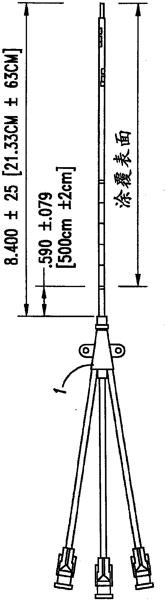 Anti-infective catheters