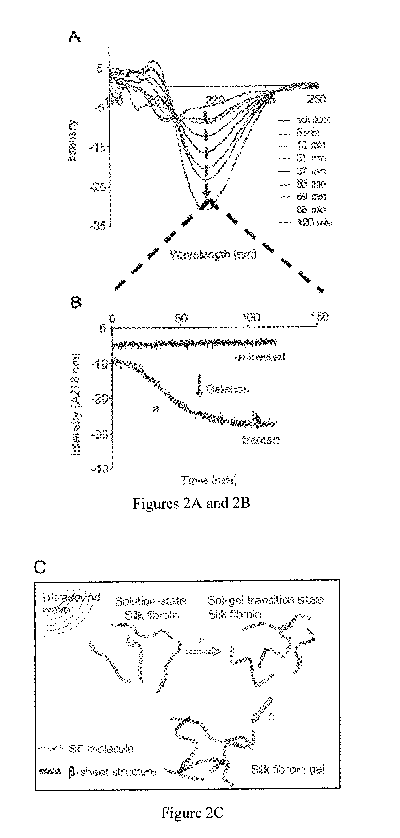 Method for silk fibroin gelation using sonication