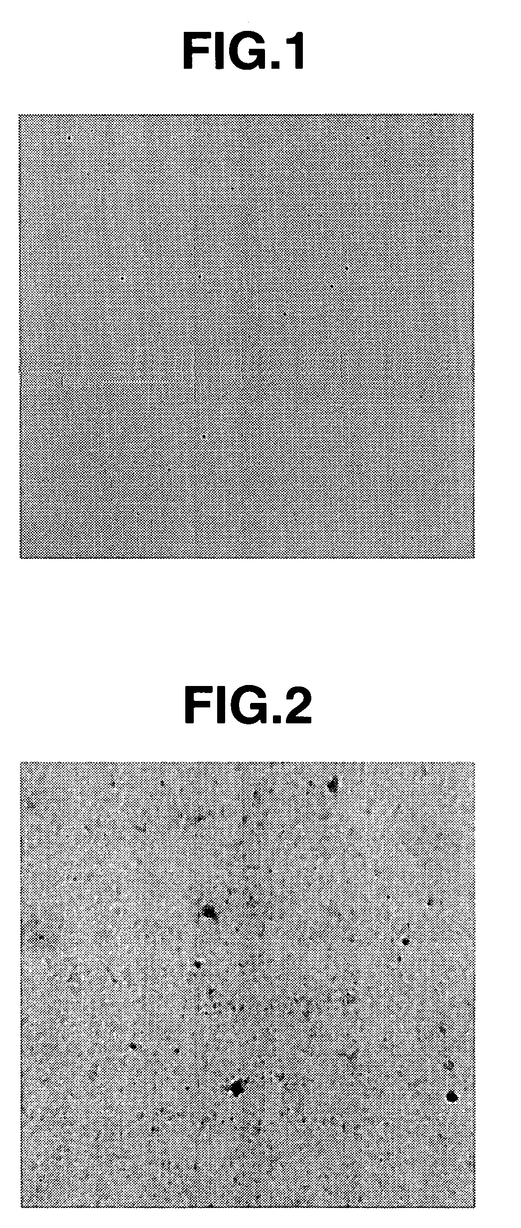 Organic conductive material and conductive varnish