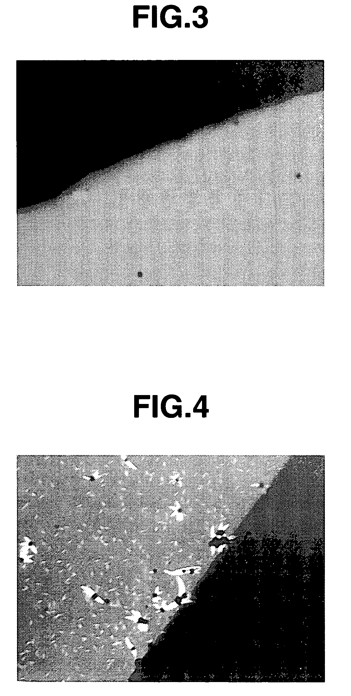 Organic conductive material and conductive varnish