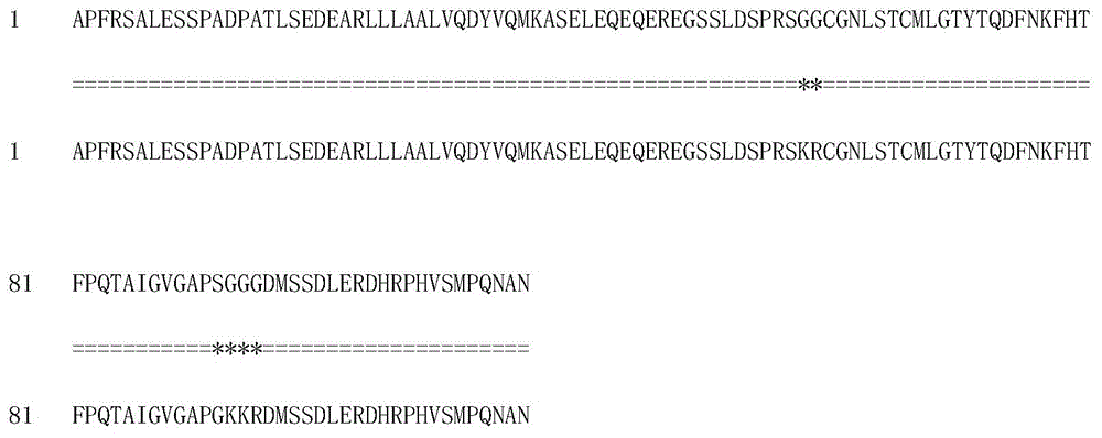 High-stability recombinant procalcitonin and preparation method and application thereof