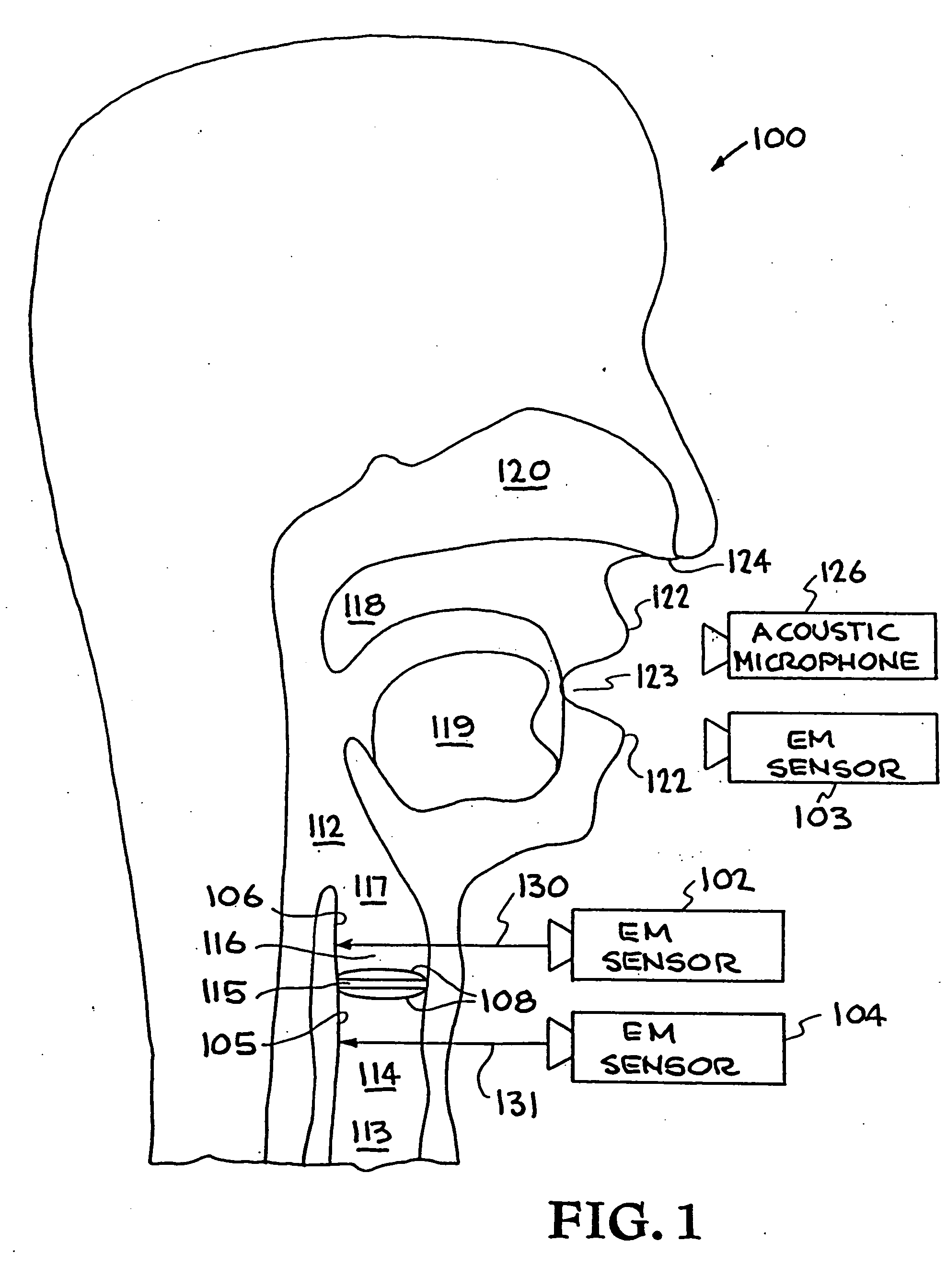 System and method for characterizing voiced excitations of speech and acoustic signals, removing acoustic noise from speech, and synthesizing speech